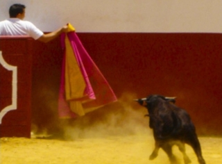 Capea per addii al celibato 